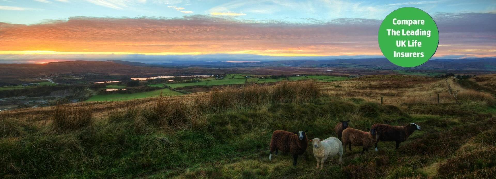 Life Insurance Northern Ireland